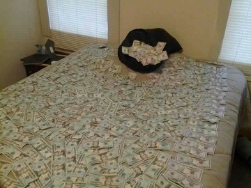 StacksDontFold's profile picture. 