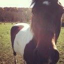 Emily Nelson - @EmmyLouNelson - Twitter