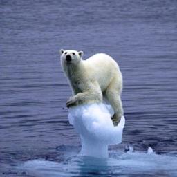 maryamt5's profile picture. i luv 1d and my goal is 500 followers