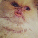 Steve Bair - @s_g_bair - Twitter