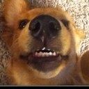 Luke Bowling - @bowling_luke - Twitter