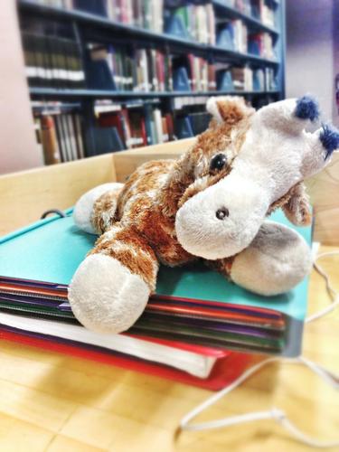 NigelTheGiraffe's profile picture. Seafaring, globe trotting, all around adventuring Giraffe!