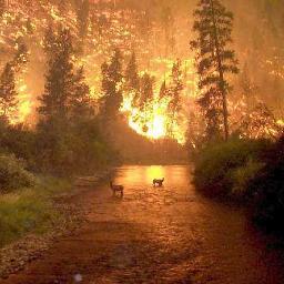 _CarterIV's profile picture. Former High School Agriculture Teacher