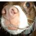 PASPort Home (@pasporthome) Twitter profile photo
