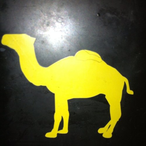 anniescritch's profile picture. help is not coming, steer your own boat