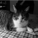 Edward Sun - @DoomyNeko - Twitter