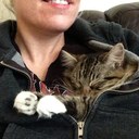 gretchen buck - @catlap415 - Twitter