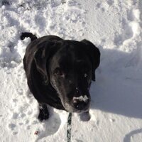 Kathleen Weigert (@kweigsweigert) 's Twitter Profile