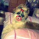 Peggy Davison - @pegngreg - Twitter