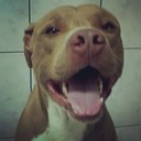 Stuart Gayle - @StuartGayle252 - Twitter