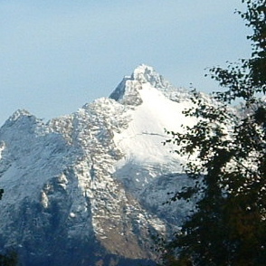 AlaskaVoice's profile picture. 