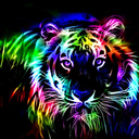 Ebony Becker - @BeckerEbony - Twitter