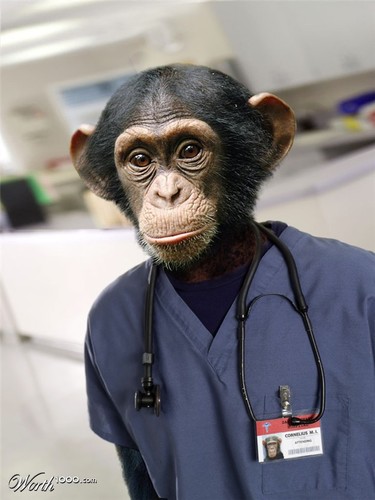 Average_PreMed's profile picture. Your future doctor (hopefully)