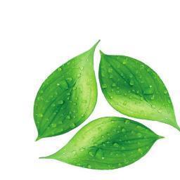 Treenewal was started by the UW-W Collegiate Entrepreneurs’ Organization (CEO) with the goal of sustainability and inspiring young entrepreneurs.