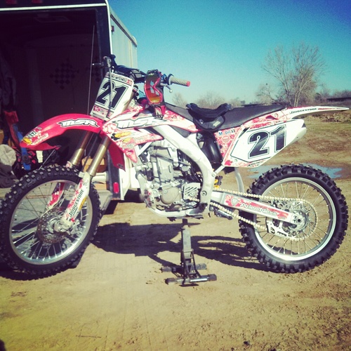 xXScorchy21Xx's profile picture. 