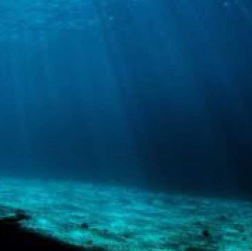 sicksociopath's profile picture. All the words you ever said, All the books you ever read, All the love you ever gave, I looked better in the grave #livingpoetssociety