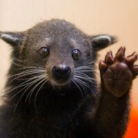 ShitUCStudentsSay (@ucstudents) 's Twitter Profile