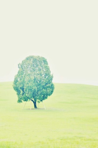 zkfmvleldpa8's profile picture. 