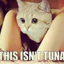 Weldon Kerry - @WeldonKerry364 - Twitter