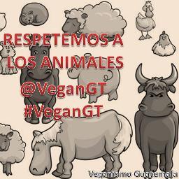 El respeto a los animales demuestra nuestro nivel de civilización. NO comas carne.  e-mail vegangt@gmail.com