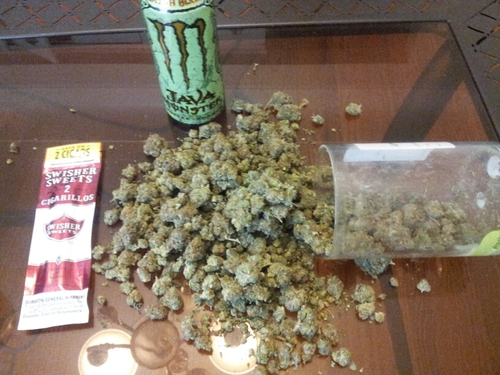 kingofthenorthx's profile picture. 