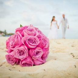 Wedding Specialists by ORGANIZA is dedicated to providing professional and personalized service at every event, focusing on quality, exclusivity and good taste.