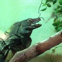 Joshua jinks - @BladedJinks - Twitter