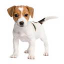 Debbie Rickard - @debbie_rickard - Twitter