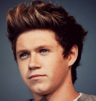 Hi, i'm a italian directioner I love those five guys ❤