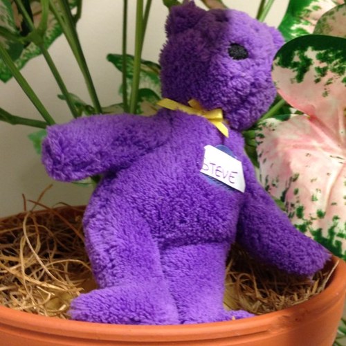 madgenorvilas's profile picture. 