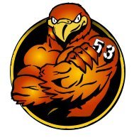 salt falcons coach