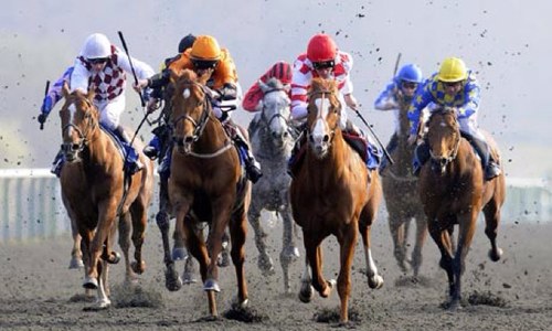 Looking to help you out with a few racing tips.. Tweet us your winning slips for a retweet. 100% free