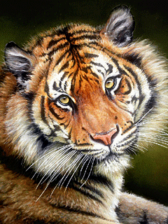 _krishnasingh03's profile picture. 