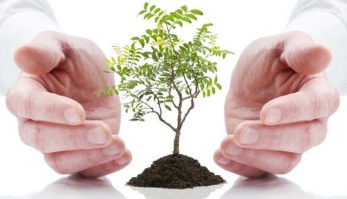 Eco Green Solutions