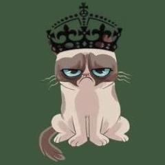 Starrymirth's profile picture. I write software and make stuff. she/her