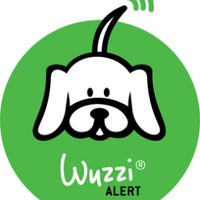 Wuzzialert (@wuzzi1) 's Twitter Profile