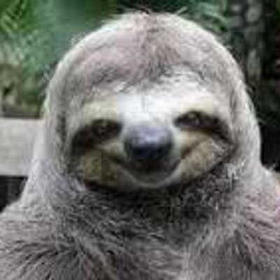 Movie Review Sloth (@SlothsPick) / Twitter