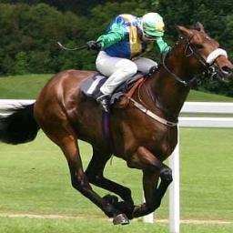 Love Horses,Love Racing, love trucking