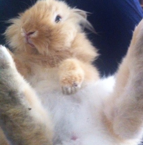 esterpoggini's profile picture. 