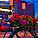 NoNo - @MoonNoh - Twitter