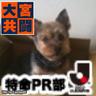 tkyknmt's profile picture. 大宮アルディージャと洋酒とガジェットと犬が好き。職業は一応、IT屋さん。