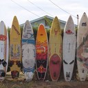 Shannon Rushing - @ShannonRushing1 - Twitter