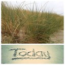 Lisa Psomas - @lisa_psomas - Twitter