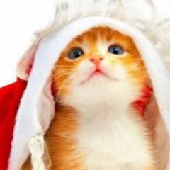 niyasoku's profile picture. 2chで今話題になってることや面白いニュースをつぶやいていきます。基本相互フォローしますよ(o^-')b