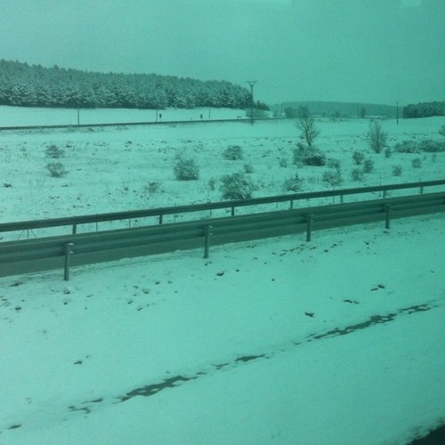 verisa's profile picture. 