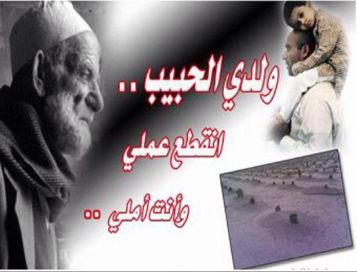 هذا الحساب صدقة عن كل مسلم تحت التراب نائم  يحلم بهدايا كثيرة دعاء، صدقة... أحلامه لا تكلف المستيقظين جهداً...اعتنوا بهذا الحساب وانشروا تغريداته حتى بعد رحيلي