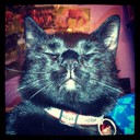 Ivan Aaron - @IvanAaron649 - Twitter