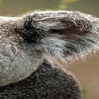 Wole Okunaiya (@ksosae) 's Twitter Profile