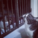 Caleb Moses - @CalebMoses240 - Twitter