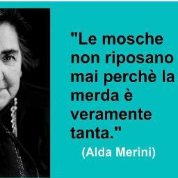 “Dovrei chiedere scusa a me stessa per aver creduto sempre di non essere mai abbastanza.” (Alda Merini)